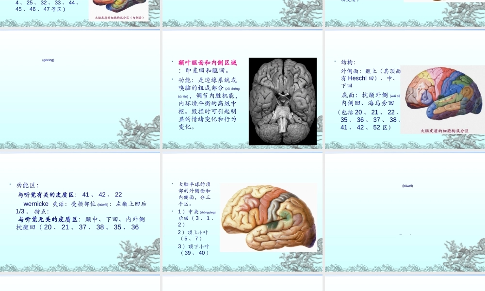 2022年医学专题—主要脑区的结构(1).ppt