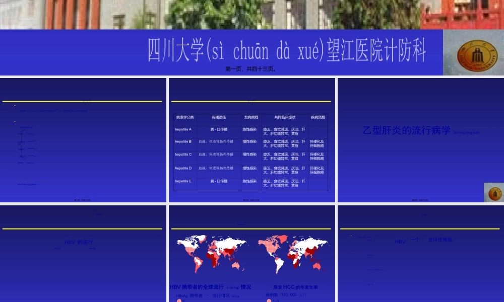 2022年医学专题—乙肝中文幻灯片(1).ppt