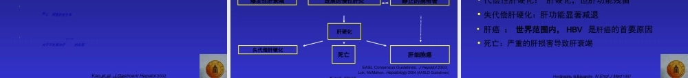 2022年医学专题—乙肝中文幻灯片(1).ppt