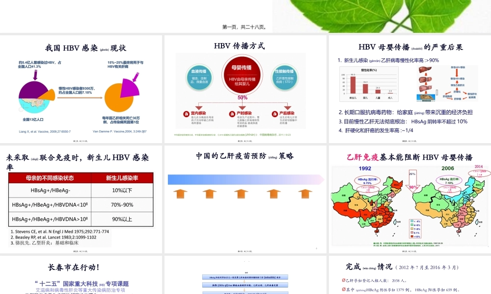 2022年医学专题—乙肝母婴传播(1).ppt