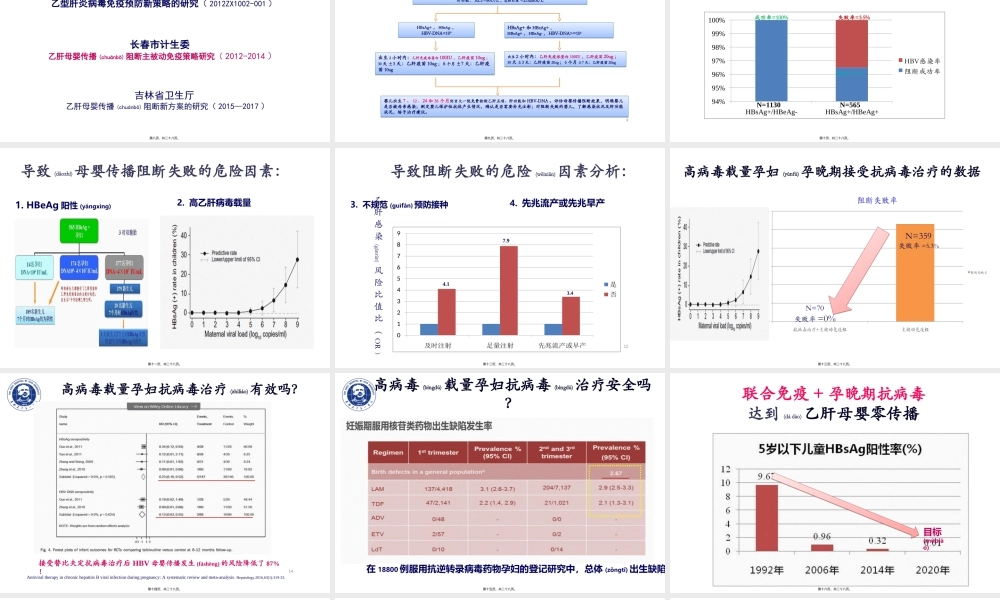 2022年医学专题—乙肝母婴传播(1).ppt