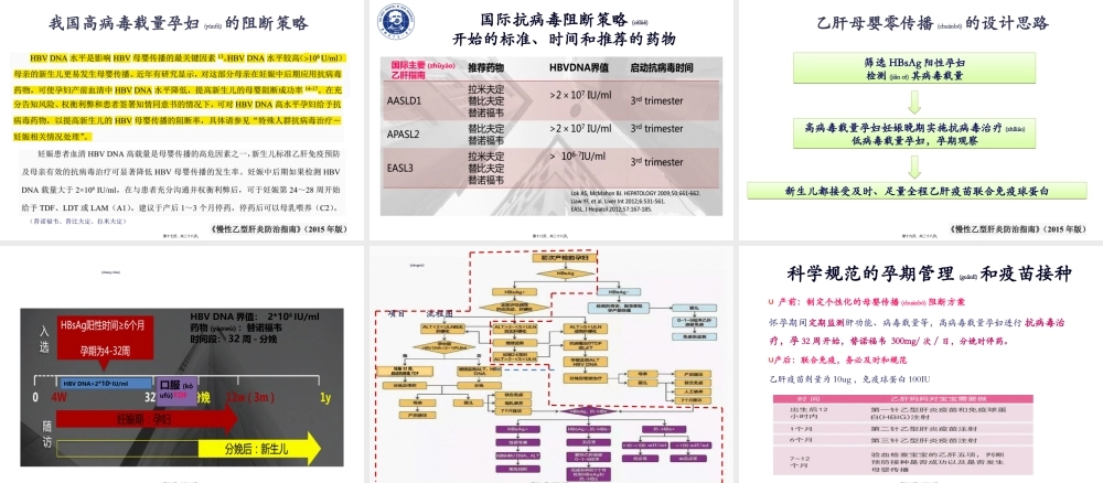 2022年医学专题—乙肝母婴传播(1).ppt