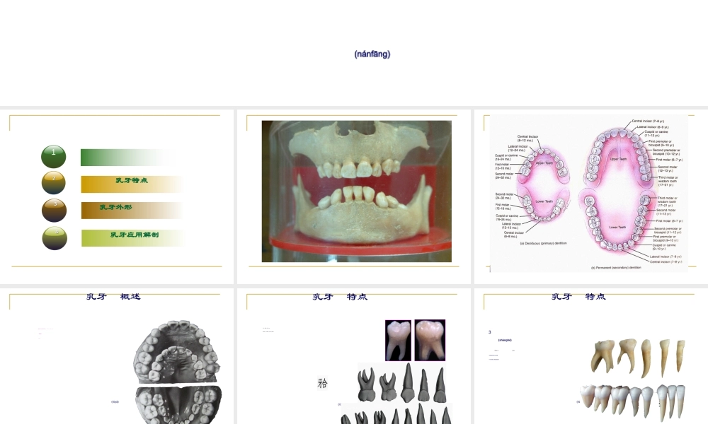 2022年医学专题—乳牙外形(1).ppt