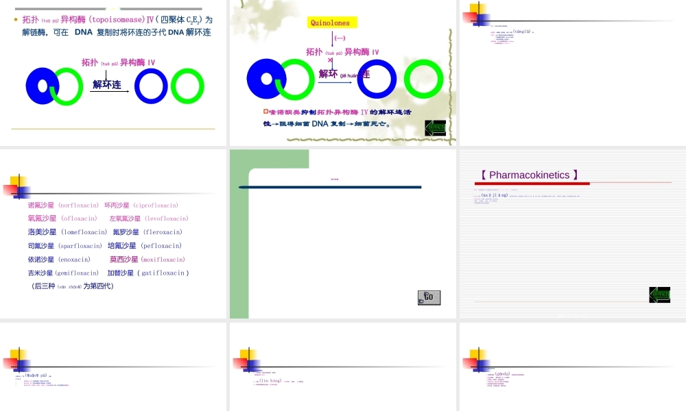 2022年医学专题—人工合成抗菌药-喹诺酮类--薛占霞(1).ppt