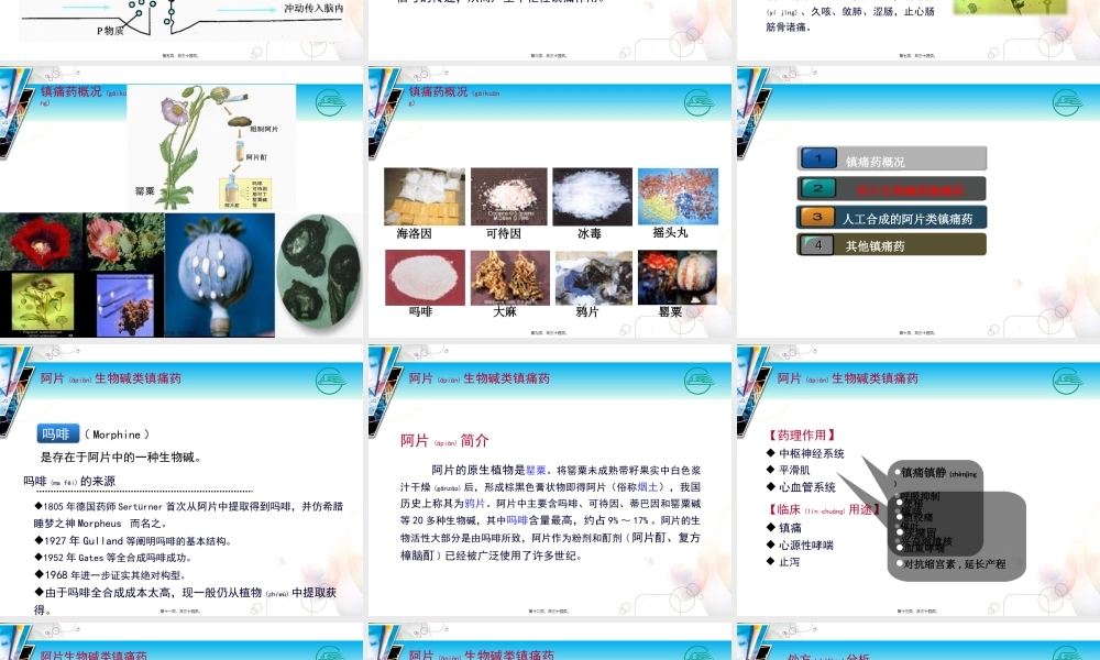 2022年医学专题—人工合成的阿片类镇痛药(1).ppt