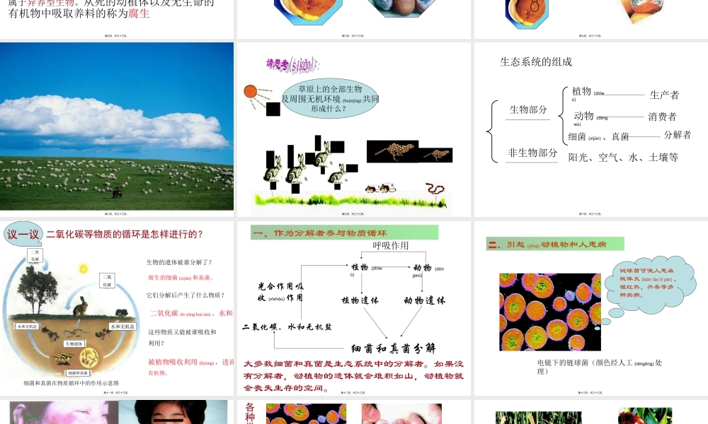 2022年医学专题—人教版八上第四章第四节细菌和真菌在自然界中的作用(1).ppt