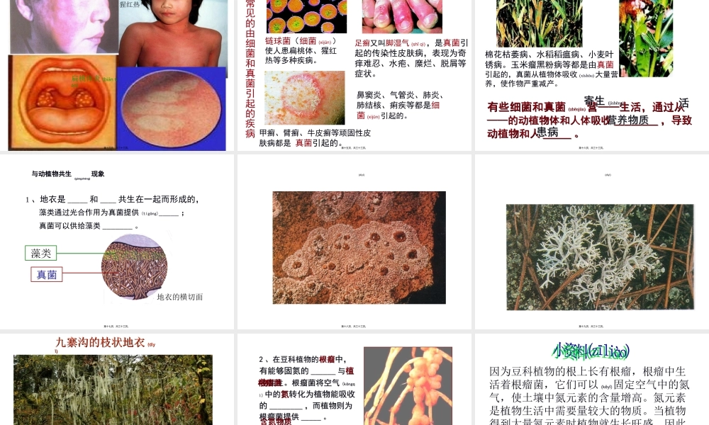 2022年医学专题—人教版八上第四章第四节细菌和真菌在自然界中的作用(1).ppt