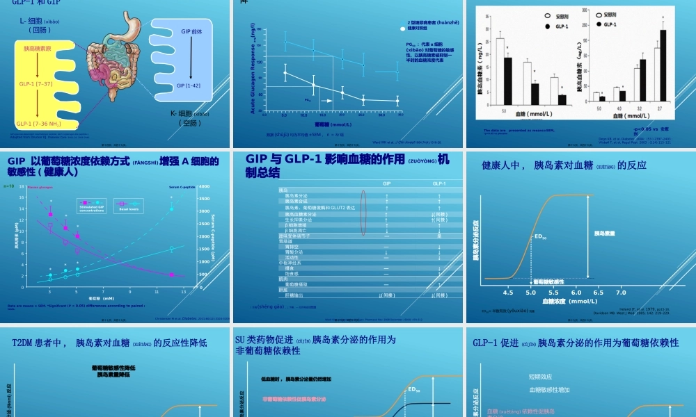 2022年医学专题—从低血糖风险看DPP4抑制剂的应用(1).pptx