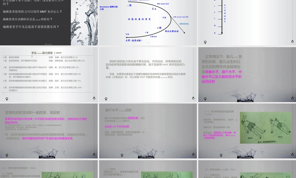 2022年医学专题—从脑干水平反射看偏瘫运动功能障碍(1).ppt