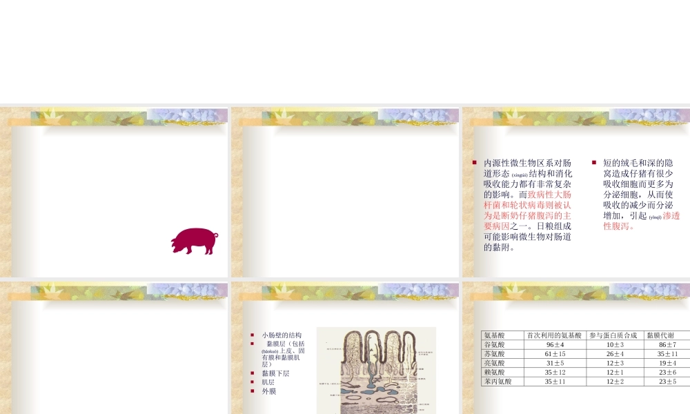 2022年医学专题—仔猪营养最新进展(1).ppt