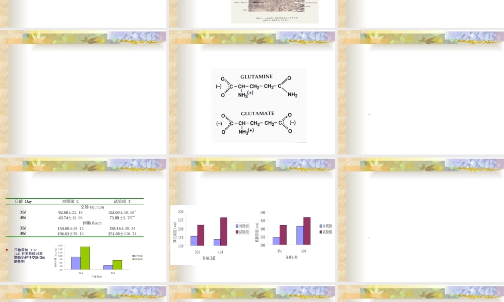 2022年医学专题—仔猪营养最新进展(1).ppt