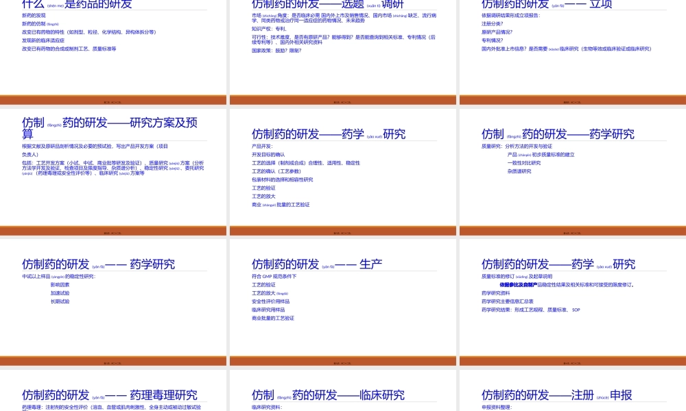 2022年医学专题—仿制药的研发(1).pptx