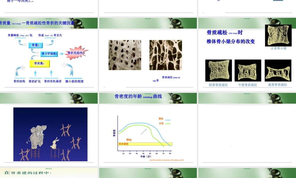 2022年医学专题—关注骨骼疏松(1).ppt