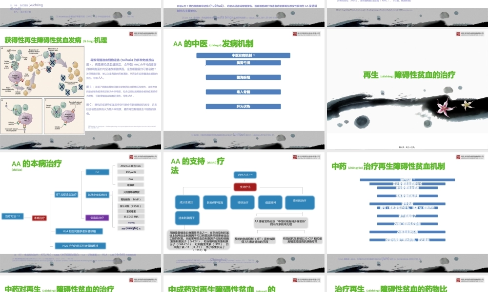 2022年医学专题—再生障碍性贫血-(1).pptx