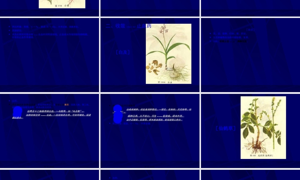 2022年医学专题—凉血止血药(1).ppt