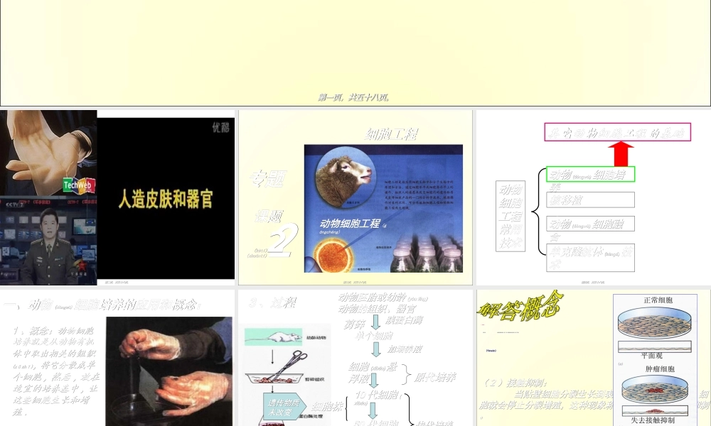 2022年医学专题—动物细胞工程(优质课)(1).ppt