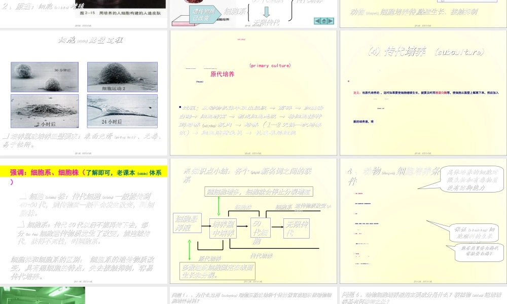 2022年医学专题—动物细胞工程(优质课)(1).ppt