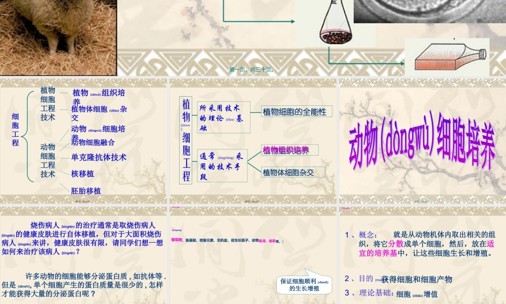 2022年医学专题—动物细胞培养综合(1).ppt