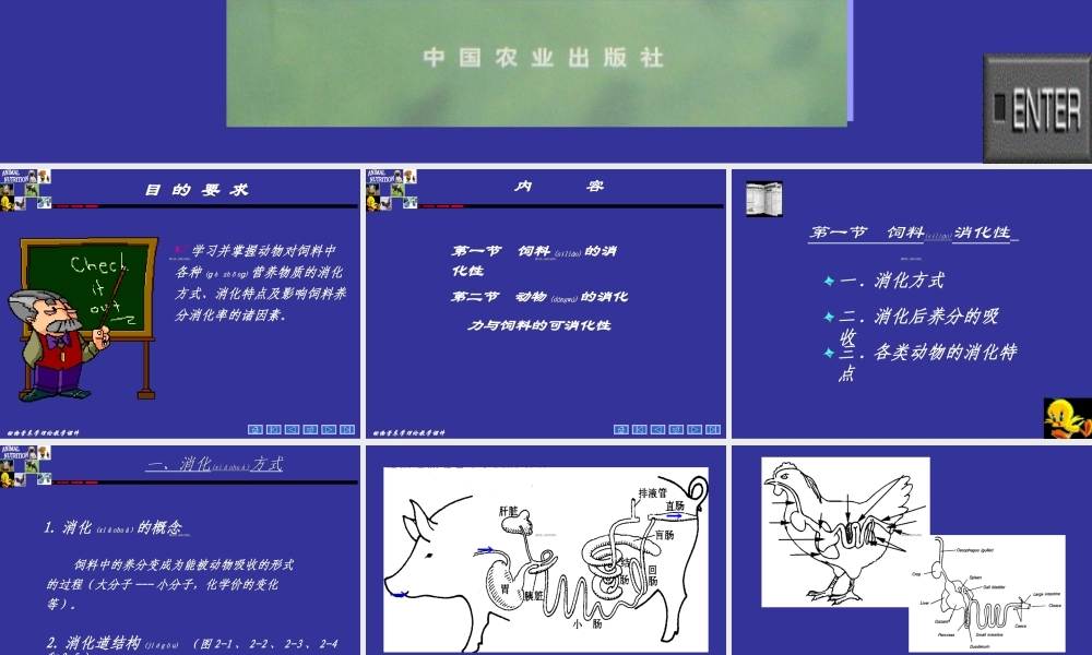 2022年医学专题—动物营养学--第二章--动物对饲料的消化(1).ppt
