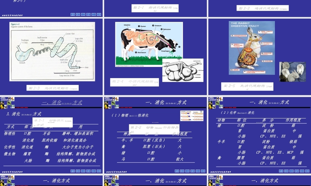 2022年医学专题—动物营养学--第二章--动物对饲料的消化(1).ppt