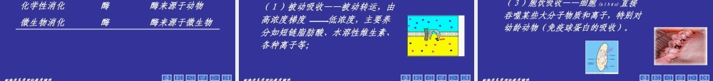 2022年医学专题—动物营养学--第二章--动物对饲料的消化(1).ppt