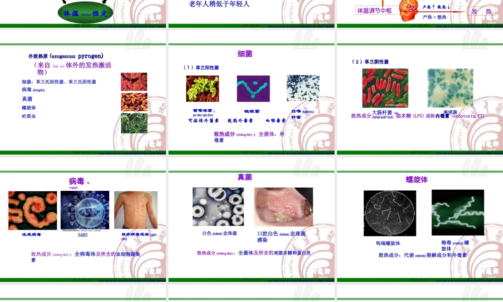 2022年医学专题—发热(最新)1(1).ppt