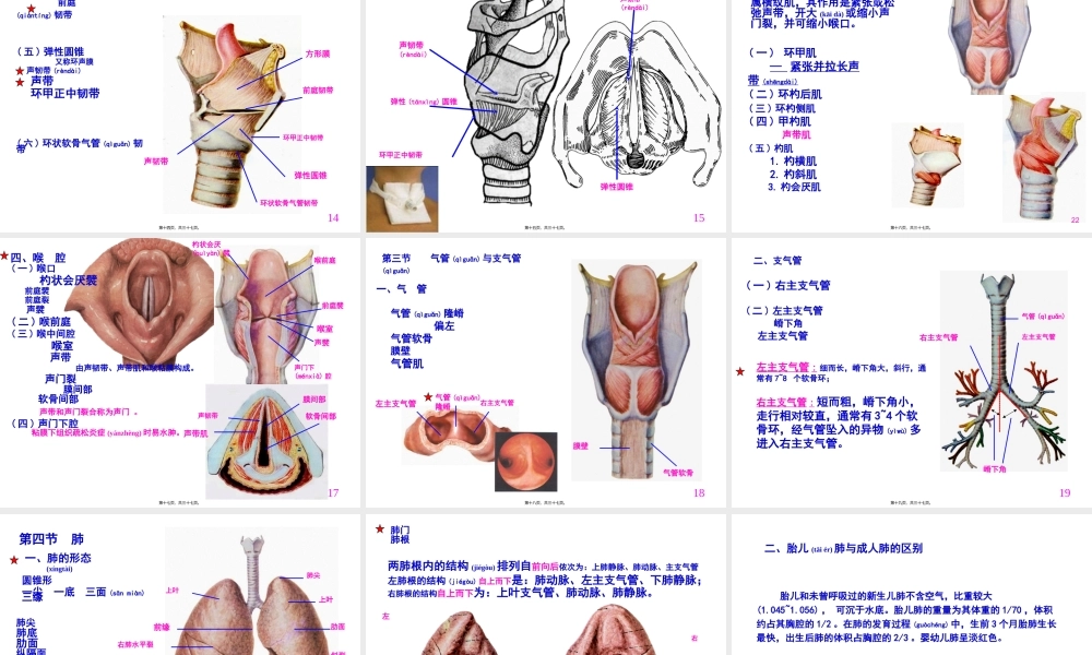 2022年医学专题—呼吸系统-程葆华1(1).ppt