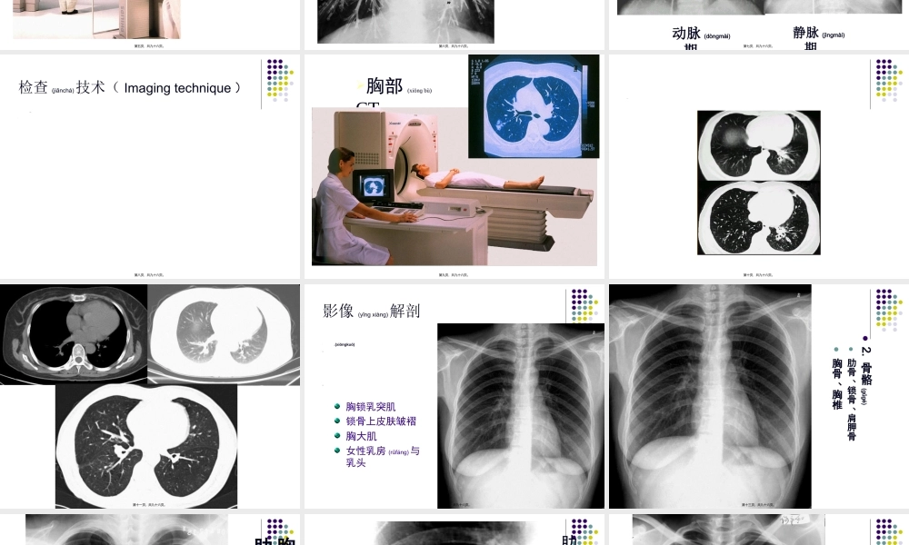 2022年医学专题—呼吸系统影像学(1)(1).ppt