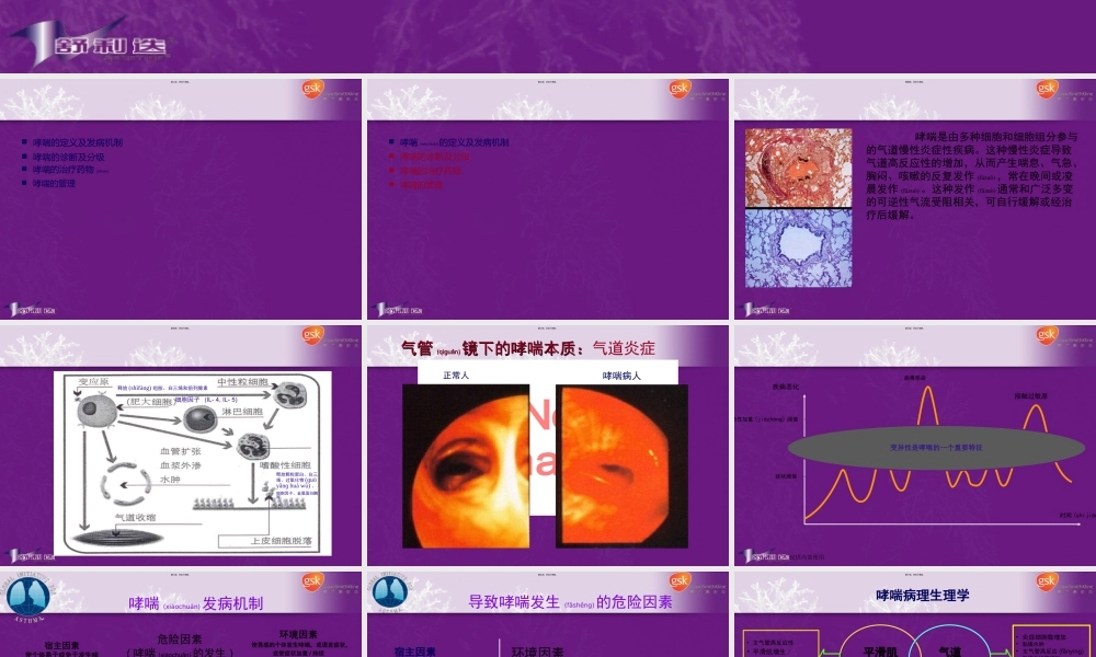 2022年医学专题—哮喘基础知识-1(1).ppt