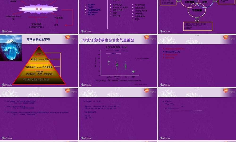 2022年医学专题—哮喘基础知识-1(1).ppt