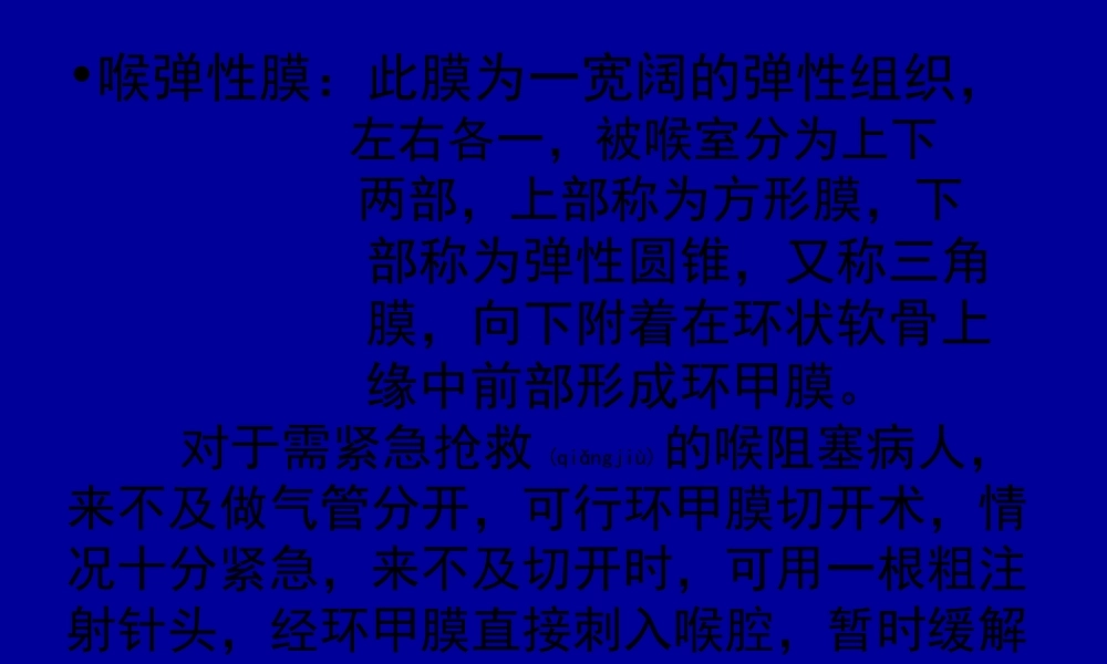 2022年医学专题—喉弹性膜此膜为一宽阔弹性组织-左右各一-被喉室分为(1).ppt