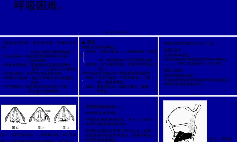 2022年医学专题—喉弹性膜此膜为一宽阔弹性组织-左右各一-被喉室分为(1).ppt