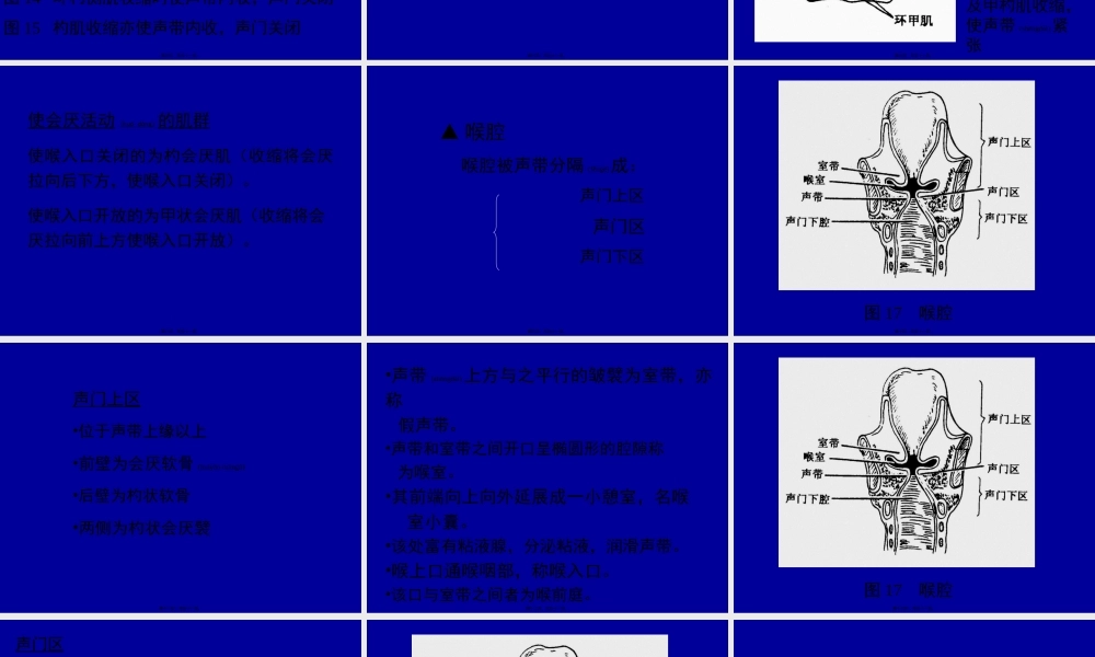 2022年医学专题—喉弹性膜此膜为一宽阔弹性组织-左右各一-被喉室分为(1).ppt