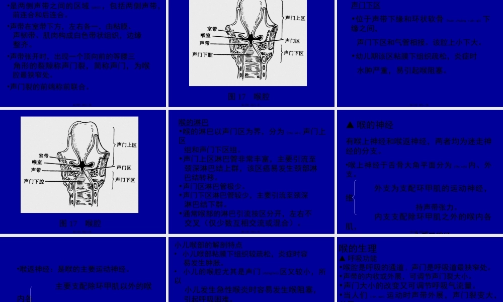 2022年医学专题—喉弹性膜此膜为一宽阔弹性组织-左右各一-被喉室分为(1).ppt