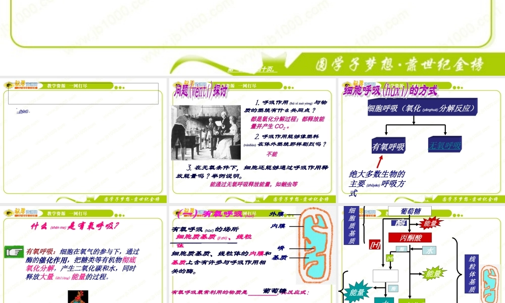 2022年医学专题—回顾：1、细胞呼吸的概念2、细胞呼吸的方式？及产物？(1).ppt