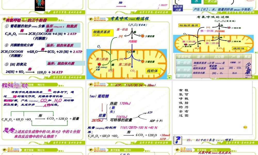2022年医学专题—回顾：1、细胞呼吸的概念2、细胞呼吸的方式？及产物？(1).ppt