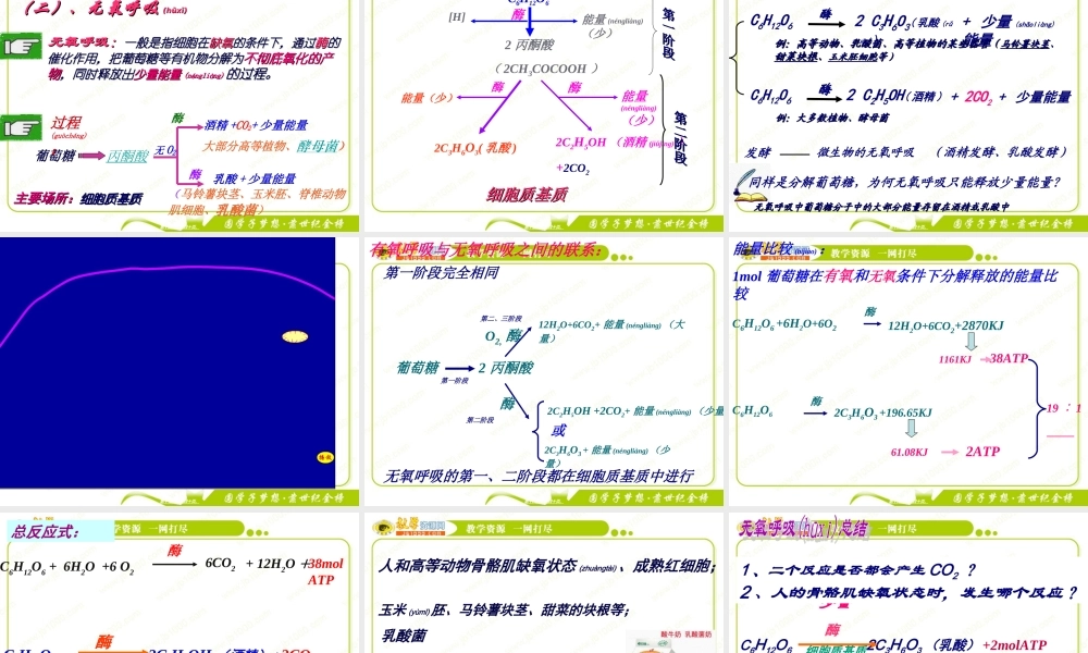 2022年医学专题—回顾：1、细胞呼吸的概念2、细胞呼吸的方式？及产物？(1).ppt