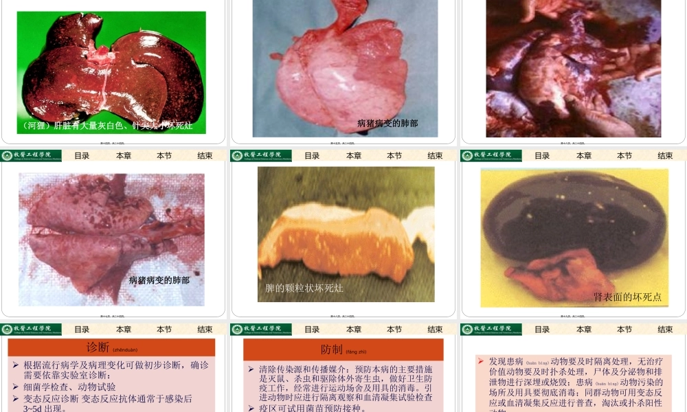 2022年医学专题—土拉杆菌病(1).ppt