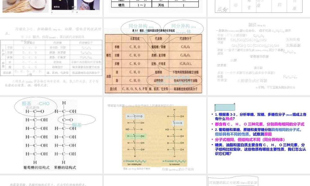 2022年医学专题—基本营养物质----第三章第四节(1).ppt