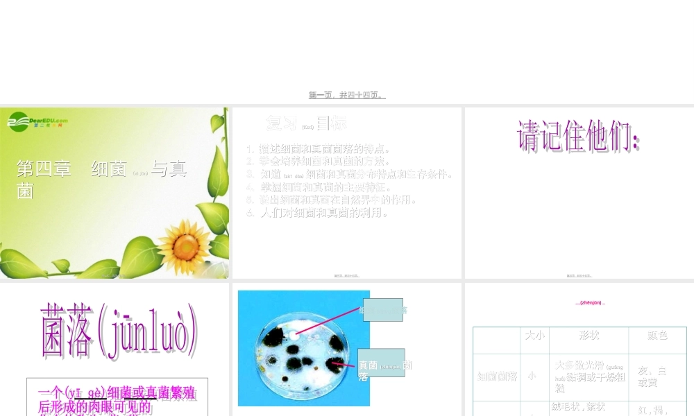 2022年医学专题—复习《细菌与真菌》(1).ppt