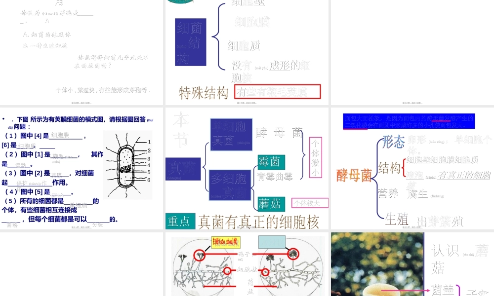 2022年医学专题—复习《细菌与真菌》(1).ppt