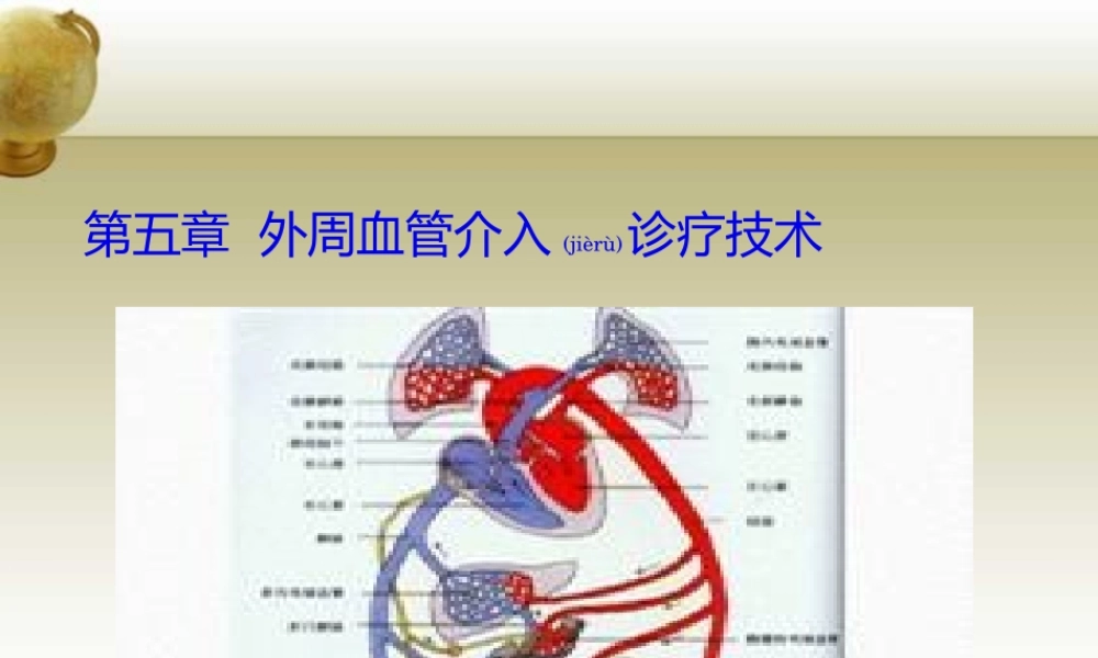 2022年医学专题—外周血管系统-(2)(1).pptx