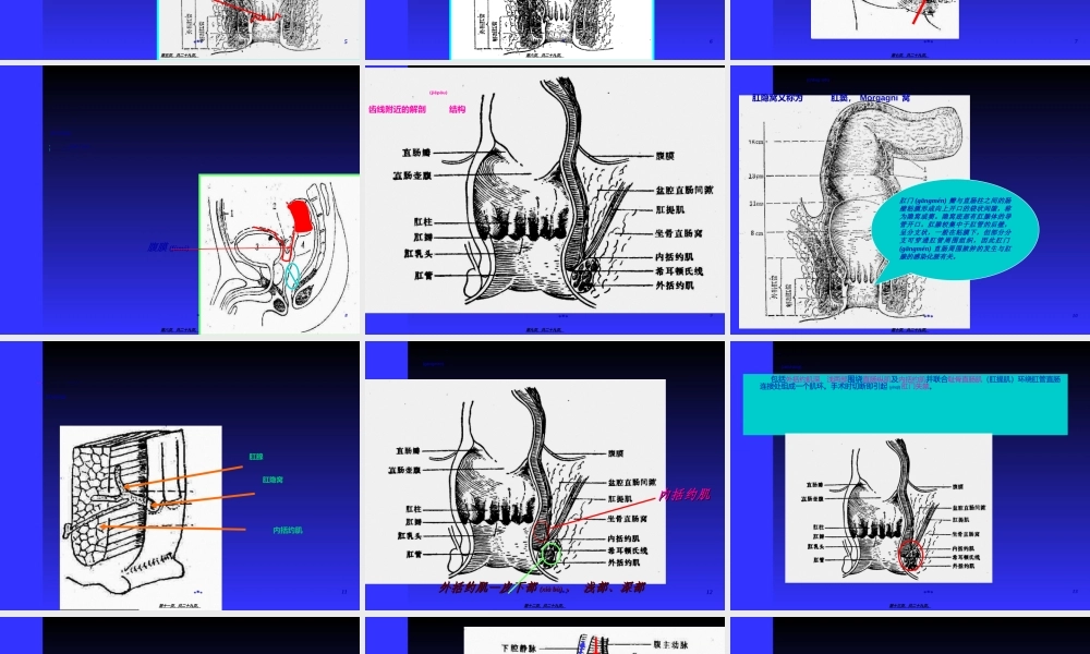 2022年医学专题—外科教研室制作讲义(1).ppt