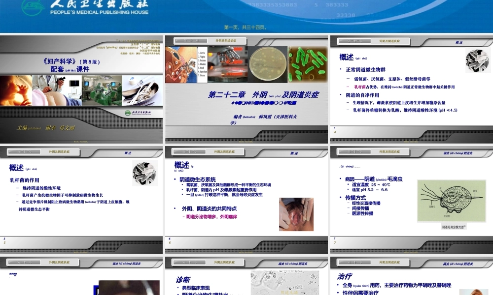 2022年医学专题—外阴及阴道炎症(1).ppt