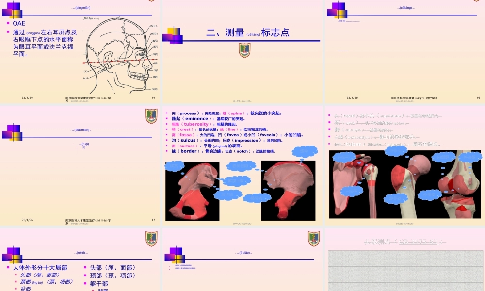 2022年医学专题—头部以眼耳平面定位-南京医科大学(1).ppt