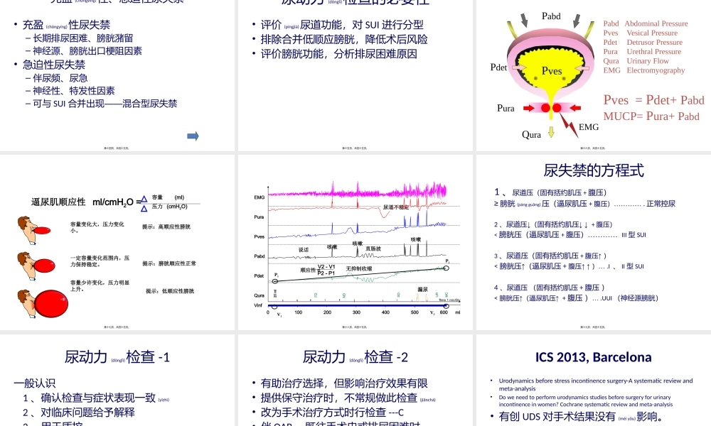 2022年医学专题—女性压力性尿失禁(1).pptx