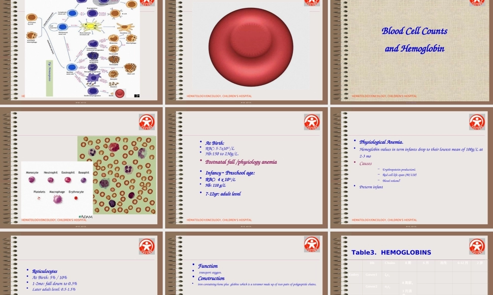 2022年医学专题—小儿造血和血液特点(英文)(1).ppt