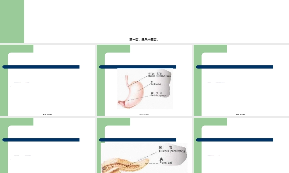 2022年医学专题—小儿营养及喂养(1).ppt