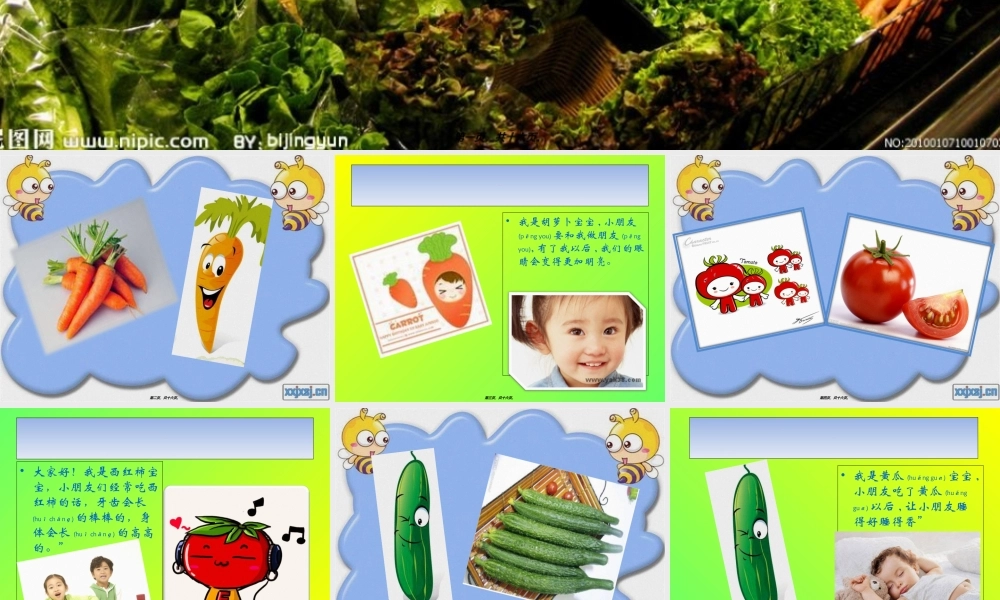 2022年医学专题—小班健康-蔬菜香香我最爱(1).ppt