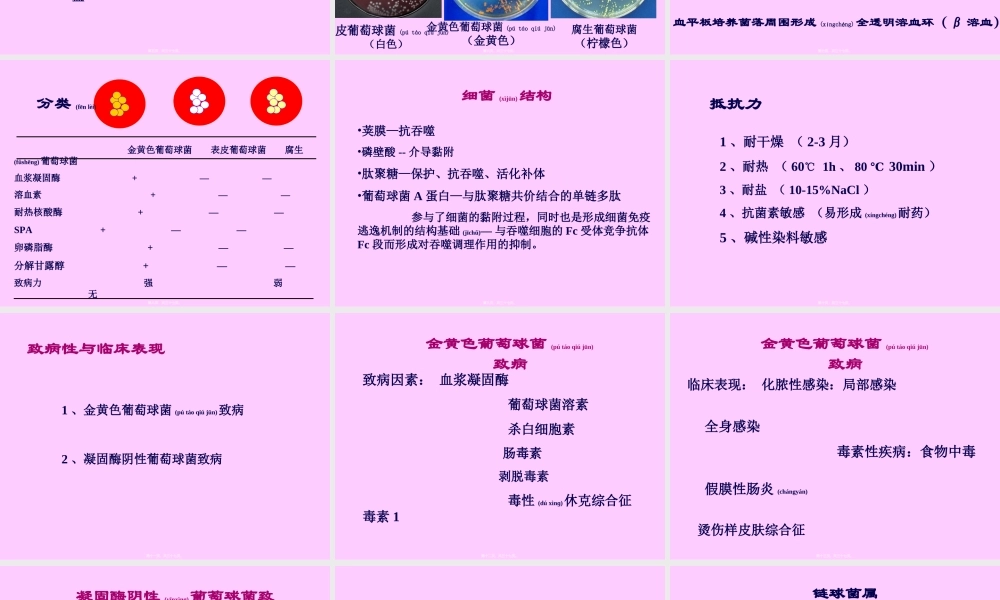 2022年医学专题—常见致病菌-1(1).ppt